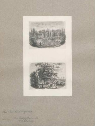Der Ludwigsee Das Beiertheimer Wäldchen