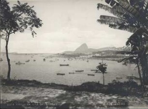 Blick auf die Ilha das Cobras, Rio de Janeiro