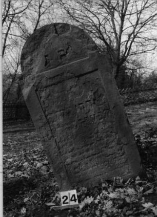 Grabstein 24 (Index: 100080840) Material: Sandstein Zustand: völlig verwittert, nur einzelne Buchstaben erkennbar Maße HxBxT: 121x64x8 cm Beschreibung: Stele, eingezogener Rundbogen, eingetieftes Schriftfeld rechteckig: Grabstein 24