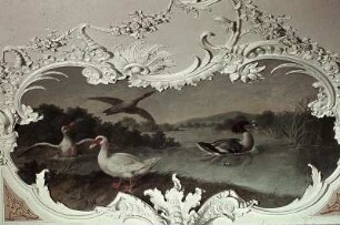 Enten