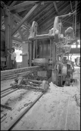 Wagensteig: Sägewerk Dold, Gattersägen