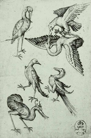 Vogel-Sechs