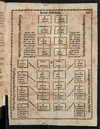 195, Arbor Affinitatis.