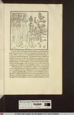 [Die Nymphe begleitet Poliphilo durch die Laube]