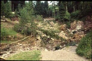 Flutkatastrophe im Schwarzwald