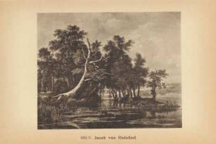 Jacob van Ruisdael. Eichenwald. 885 G