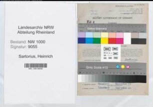 Entnazifizierung Heinrich Sartorius, geb. 28.10.1888 (Steuerberater)