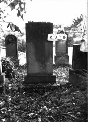 Grabstein 2329 (Index: 100097491) Maße HxBxT: 132x50x14 cm: Grabstein 2329