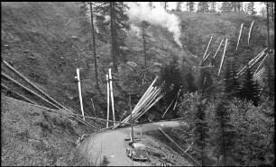 Freiburg: Holzfällen am Schauinsland