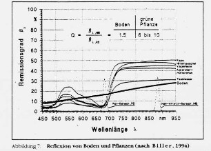 Reflexion von Boden und Pflanzen (nach Biller, 1994)