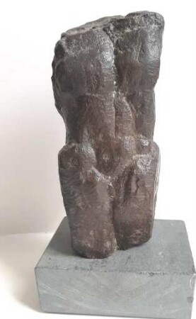 Männlicher Torso