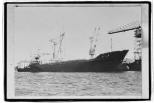 Scilla (1977), Seetransport und Bereederungs GmbH /Bremen