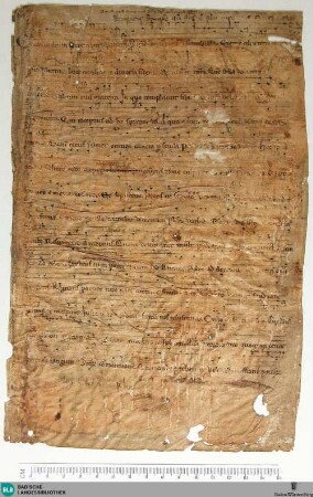 Collectanea, Fragment - Cod. Aug. Fr. 41