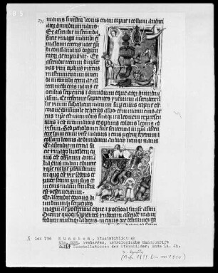 Avenares, Astrologische Handschrift — Buchseite mit Konstellationen der Sternbilder, Folio 14recto — Konstellationen der Sternbilder, Folio 14recto