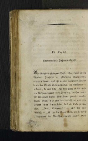 IX. Kapitel. Unvermuthete Zusammenkunft.