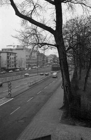 Fällung von 55 abgestorbenen oder kranken Bäumen im Stadtgebiet von Karlsruhe