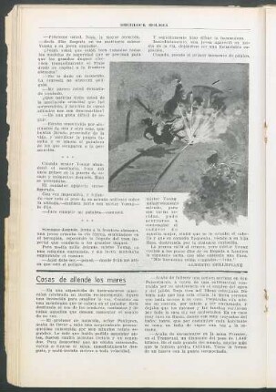 Cosas de allende los mares