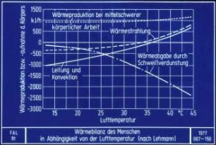 Wärmebilanz des Menschen in Abhängigkeit von der Lufttemperatur (nach Lehmann)