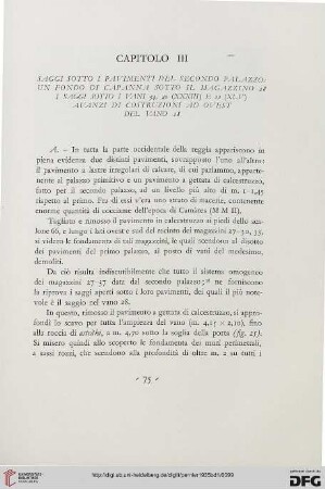 Capitolo III