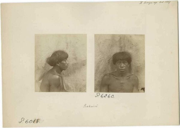 Bakairi Indians