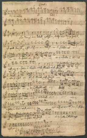 Canto (1. Ex.)