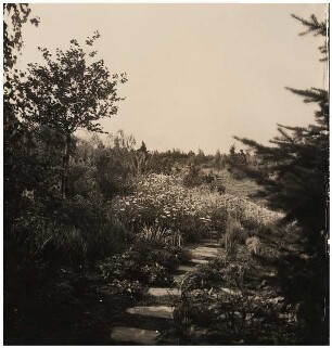 Garten Thiele, Goslar: Gartenweg