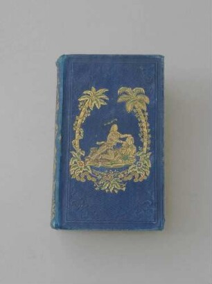 Buch: Aventures de Robinson Crusoé