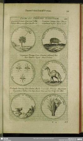 [Hierographia Ducum Traiotti & Dariani]