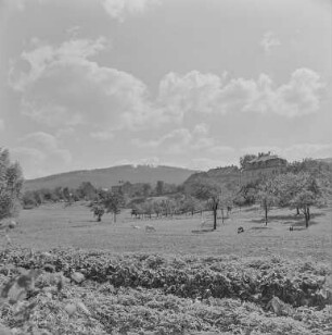 Schule Obergurig : Obergurig. Blick zur Schule