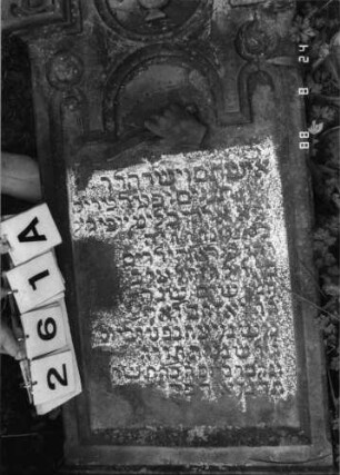 Grabstein 261 (Index: 100095789) Maße HxBxT: 180x49x18 cm Symbolik: Levitenkanne, Beschneidungsmesser Besonderheit: kulturhistorisch wertvoll / hist.-wiss. Gründe (Gemeindestellung): Grabstein 261A