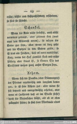 Schenkel