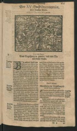 Von Vogelfang. Das XV. Buch Oeconomiae, Des fünfften Theils. Ornithiacus genandt. Das Erste - LXXIV. Capitel.