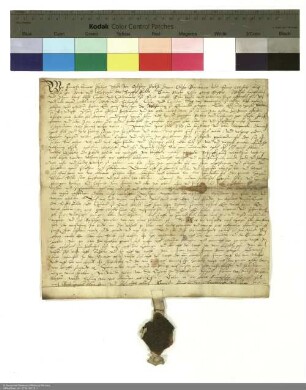Philipp Schadt von Ostheim, Propst von Michaelsberg und Blankenau, und weitere namentlich genannte Personen verleihen ein Gut in Elmerode