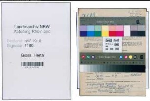 Entnazifizierung Herta Gross , geb. 31.05.1910 ()