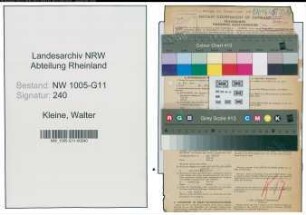 Entnazifizierung Walter Kleine , geb. 04.11.1895 (Prokurist)