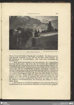 Kühe an der Tränke
