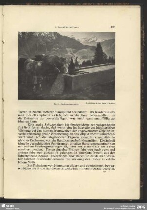 Kühe an der Tränke