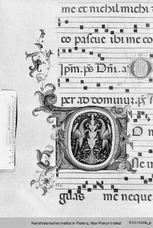 Buchseite mit Text, Neumen, Fleuronné-Initiale O sowie historisierter Initiale D, darin zwei Vögel um einen stilisierten Baum - Corale
