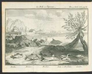 Tafel: La Pêche à la l'Epervier. [...]