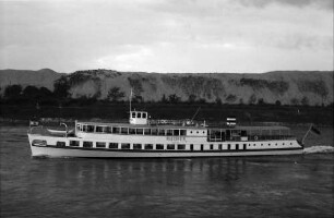 Neuenburg: Personenschiff bei Neuenburg
