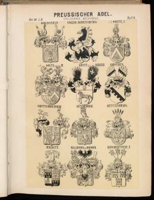 Taf. 6. Goldstein. - Göler v. Ravensburg. - v. d. Goltz I. - v. d. Goltz II. - Grote zu Schauen. - Grothus. - Grutschreiber. - Günderode. - Guttenberg. - Halkett. - Hallberg zu Broich. - Hammerstein I.