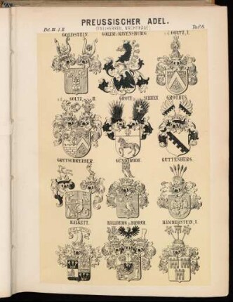 Taf. 6. Goldstein. - Göler v. Ravensburg. - v. d. Goltz I. - v. d. Goltz II. - Grote zu Schauen. - Grothus. - Grutschreiber. - Günderode. - Guttenberg. - Halkett. - Hallberg zu Broich. - Hammerstein I.