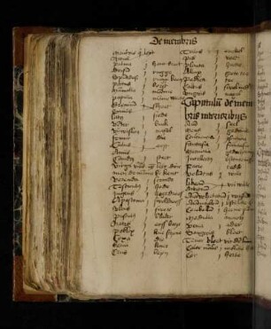 Lateinisch-niederdeutsches Glossar.