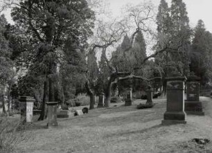 Friedhof, Neusalza-Spremberg