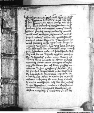 Centum meditationes dominicae passionis - BSB Clm 14785