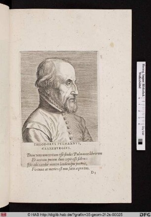Theodorus Pulmannus.