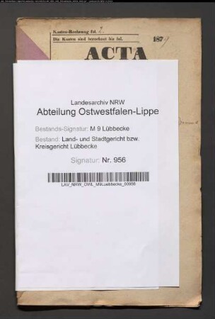 Erblasser: Meyer gt. Blesse, Friedrich Wilhelm Gottlieb; Erblasser: Berrkemeier, Carl: Abschluss eines Erbvertrags