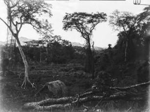 Lagerplatz : Blick über den Platz eines Lagers der Forschungsreisenden auf die bergige Landschaft. In der Bildmitte sind kleine Hütten erkennbar
