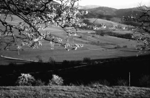 Wittnau: Blick gegen Sölden vom Hang des Schönbergs mit Blütenzweigen