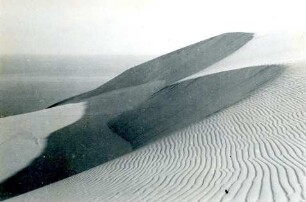 Sanddünen, Kurische Nehrung